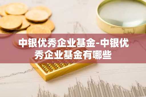 中银优秀企业基金-中银优秀企业基金有哪些