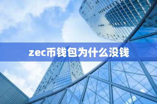 zec币钱包为什么没钱