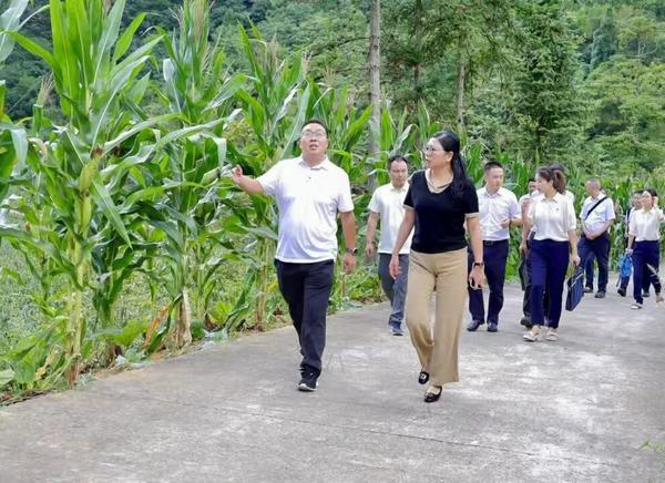 同步和美小康路 共绘乡村振兴图 达州银行召开2025年驻村工作现场会 举办“村BA”篮球友谊赛