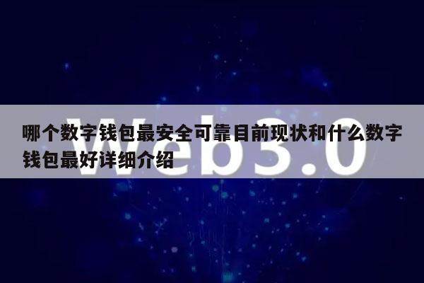 哪个数字钱包最安全可靠目前现状和什么数字钱包最好详细介绍