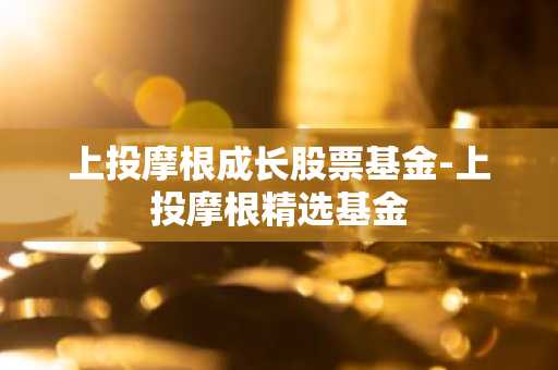 上投摩根成长股票基金-上投摩根精选基金