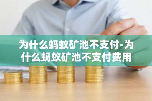 为什么蚂蚁矿池不支付-为什么蚂蚁矿池不支付费用