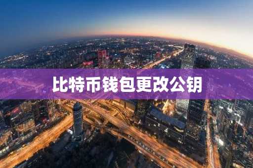 比特币钱包更改公钥