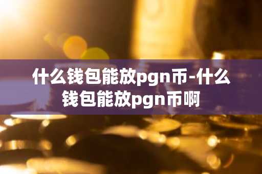 什么钱包能放pgn币-什么钱包能放pgn币啊