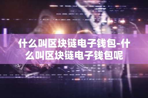 什么叫区块链电子钱包-什么叫区块链电子钱包呢
