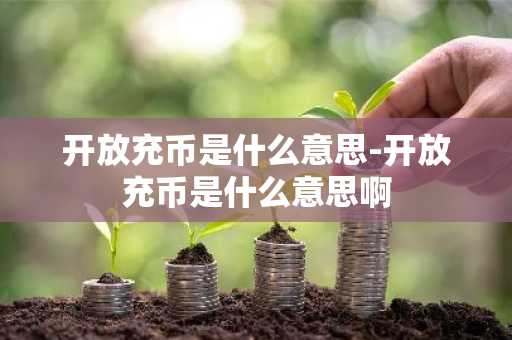 开放充币是什么意思-开放充币是什么意思啊