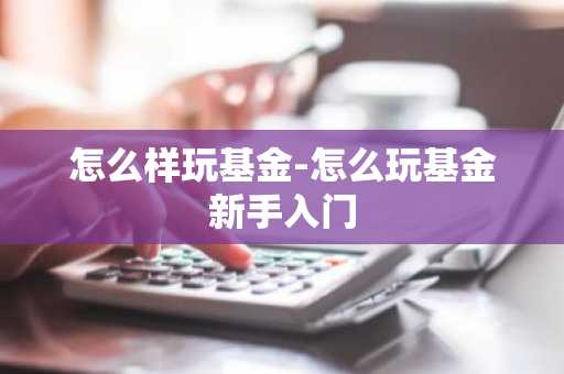 怎么样玩基金-怎么玩基金新手入门