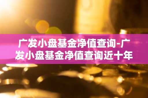 广发小盘基金净值查询-广发小盘基金净值查询近十年