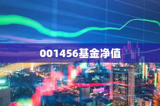 001456基金净值