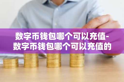 数字币钱包哪个可以充值-数字币钱包哪个可以充值的
