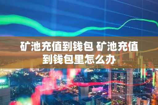 矿池充值到钱包 矿池充值到钱包里怎么办