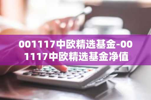 001117中欧精选基金-001117中欧精选基金净值