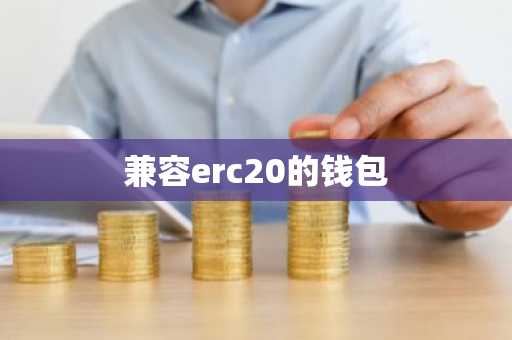 兼容erc20的钱包