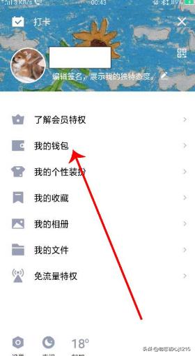 充值币看的钱包 充值币看的钱包是什么