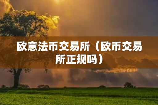 欧意法币交易所（欧币交易所正规吗）