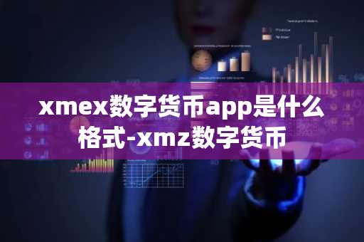 xmex数字货币app是什么格式-xmz数字货币