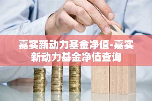 嘉实新动力基金净值-嘉实新动力基金净值查询