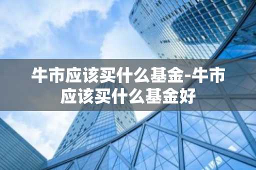 牛市应该买什么基金-牛市应该买什么基金好