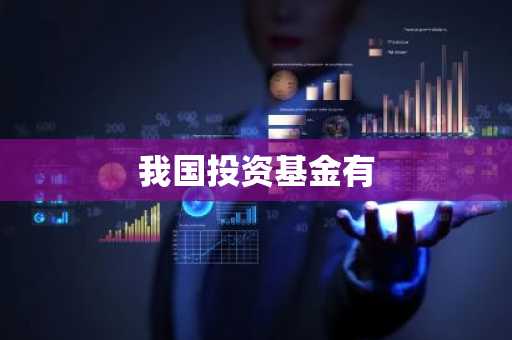 我国投资基金有
