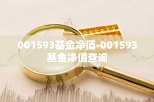 001593基金净值-001593基金净值查询