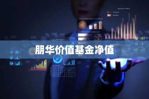 朋华价值基金净值