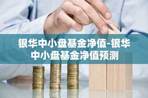 银华中小盘基金净值-银华中小盘基金净值预测