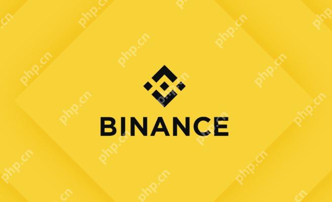 币安交易所官方下载链接 币安最新版app安装教程