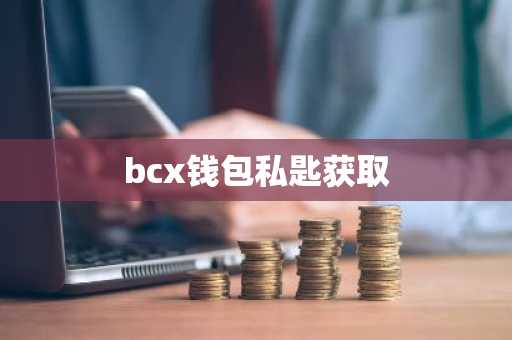 bcx钱包私匙获取