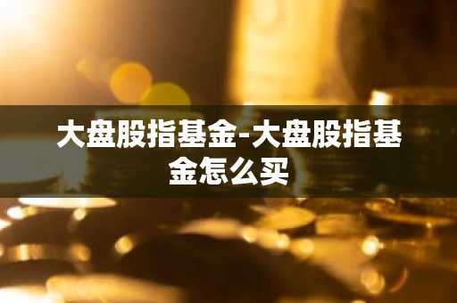 大盘股指基金-大盘股指基金怎么买