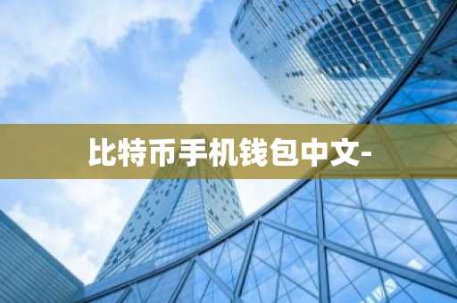 比特币手机钱包中文-