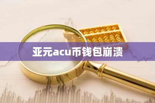 亚元acu币钱包崩溃