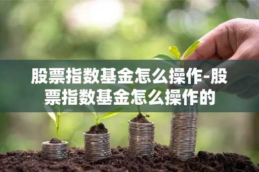 股票指数基金怎么操作-股票指数基金怎么操作的