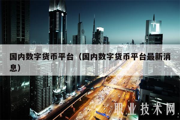 国内数字货币平台（国内数字货币平台最新消息）