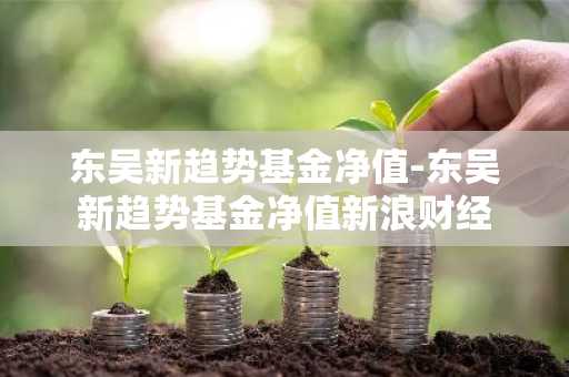 东吴新趋势基金净值-东吴新趋势基金净值新浪财经