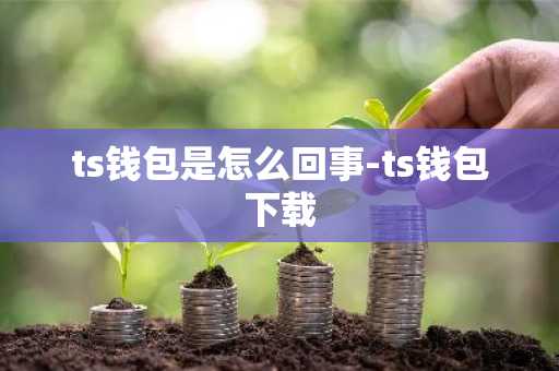 ts钱包是怎么回事-ts钱包下载