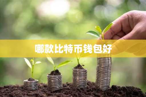 哪款比特币钱包好