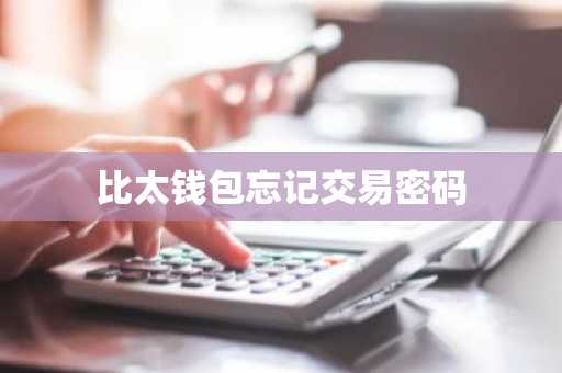 比太钱包忘记交易密码