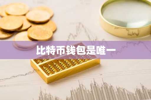 比特币钱包是唯一