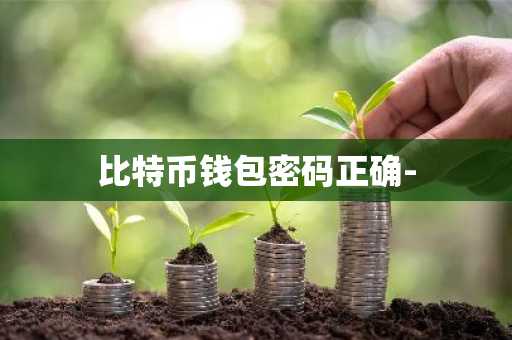 比特币钱包密码正确-