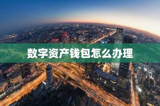 数字资产钱包怎么办理