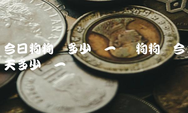 今日狗狗币多少钱一个