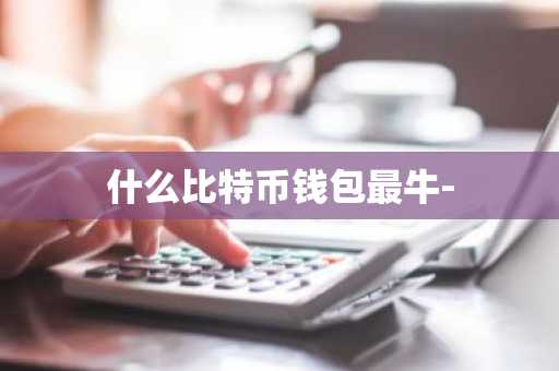 什么比特币钱包最牛-