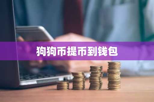 狗狗币提币到钱包