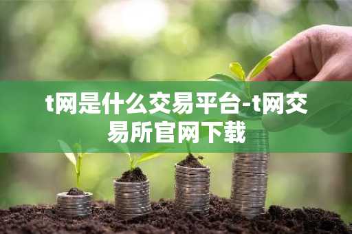 t网是什么交易平台-t网交易所官网下载