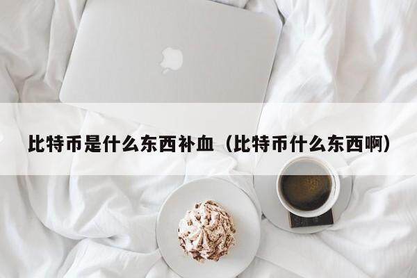 比特币是什么东西补血（比特币什么东西啊）