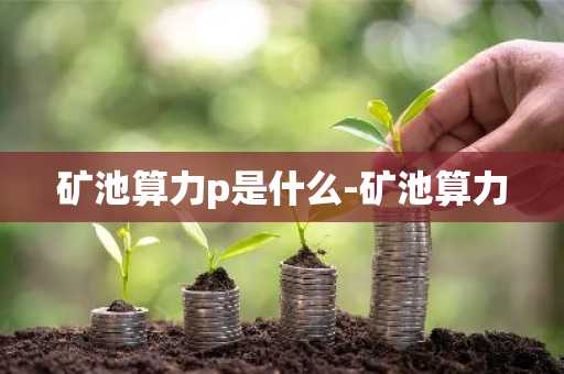 矿池算力p是什么-矿池算力0