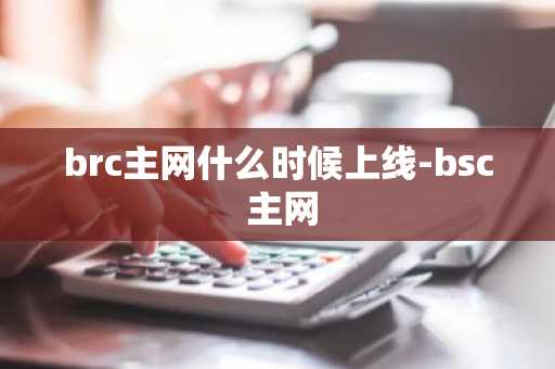 brc主网什么时候上线-bsc 主网