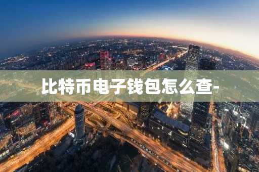 比特币电子钱包怎么查-