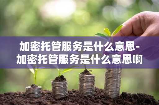 加密托管服务是什么意思-加密托管服务是什么意思啊