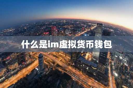 什么是im虚拟货币钱包